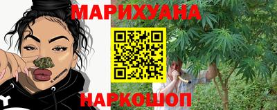 крисы Кунгур