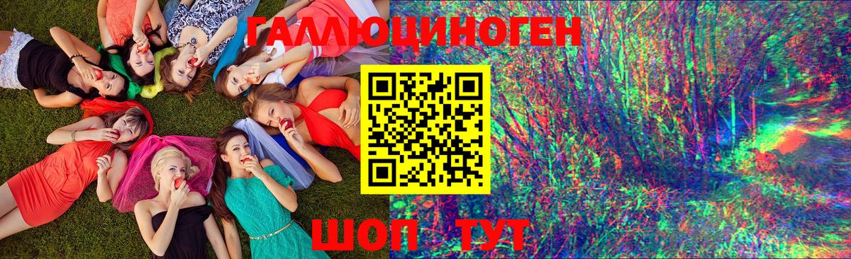 Галлюциногенные грибы Psilocybine cubensis  Псилоцибиновые грибы Cubensis  Вход с VPN  Ессентуки 